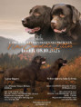 /album/b-2-alom-2025-10-08/coffey-django-08-10-2025-jpg2/